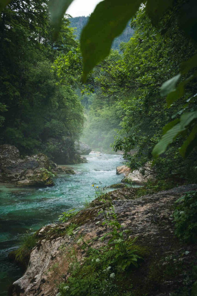 A creek with water flowing over rocks.