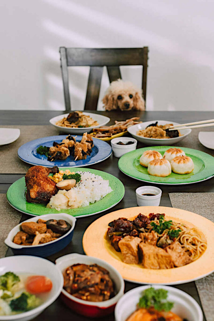 A poodle puppy sitting on a chair and staring at an array of foods and dishes arranged on a dinner table.