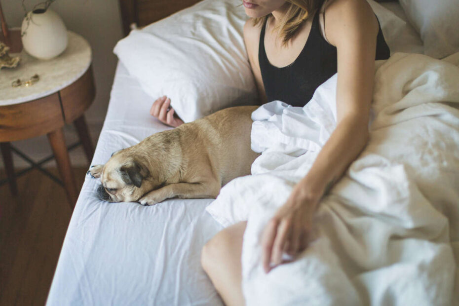 Image of a woman in bed with a pug-type dog